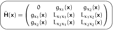$\mbox{\ovalbox{$\displaystyle \bar\mathsfbf{H}(\mathsfbf{x}) = 
 \pmatrix{ 0 & ...
 ...{x_2}(\mathsfbf{x}) & L_{x_2x_1}(\mathsfbf{x}) & L_{x_2x_2}(\mathsfbf{x}) } $}}$